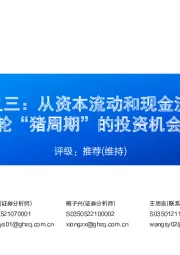 生猪系列报告之三：从资本流动和现金流的角度分析本轮“猪周期”的投资机会