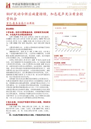 有色-基本金属行业周报:铜矿扰动令供应减量持续,加息尾声关注黄金投资机会
