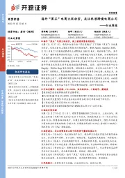 商贸零售行业周报：海外“黑五”电商大促收官，关注优质跨境电商公司