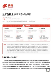 盐矿型稀土 头豹词条报告系列