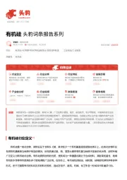 有机硅 头豹词条报告系列