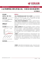 钒专题报告：工业味精增效+绿色价值凸显，钒需求迎来快速增长