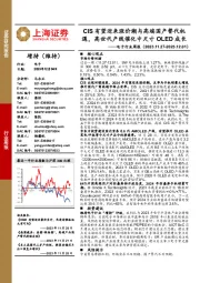 电子行业周报：CIS有望迎来涨价潮与高端国产替代机遇，高世代产线催化中尺寸OLED成长