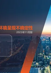 月酝知风之新能源产业2023年11月报：海外光伏政策环境呈现不确定性