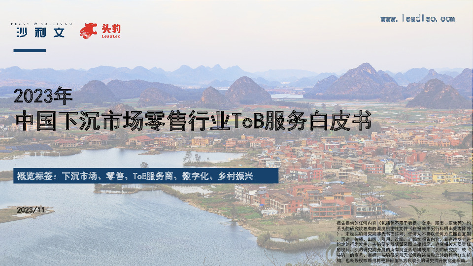 2023年中国下沉市场零售行业ToB服务白皮书