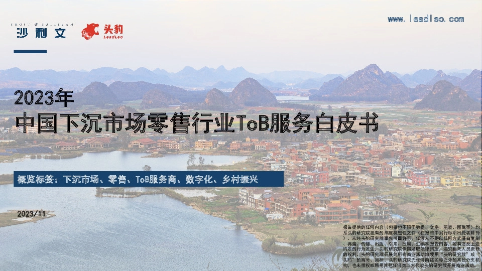 2023年中国下沉市场零售行业ToB服务白皮书