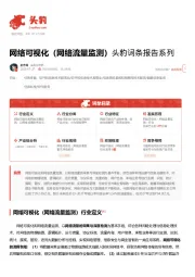 网络可视化（网络流量监测）头豹词条报告系列