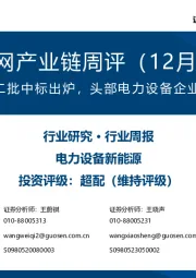 风电/电网产业链周评(12月第1周):国网智能电表二批中标出炉,头部电力设备企业回购持续推进