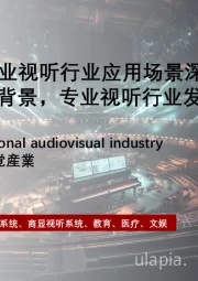 2023年中国专业视听行业应用场景深度研究：AV和IT融合大背景，专业视听行业发展路径（摘要版）