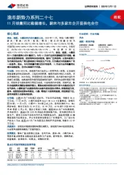 造车新势力系列二十七:11月销量同比稳健增长,蔚来与多家车企开展换电合作