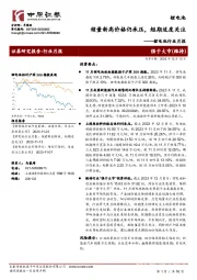 锂电池行业月报：销量新高价格仍承压，短期适度关注