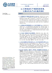 新能源板块行业月报：11月新能源车产销量保持高增，大圆柱电池产业化稳步推进