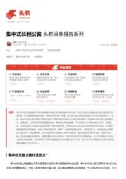 集中式长租公寓 头豹词条报告系列