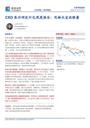 CXO医疗研发外包深度报告：风物长宜放眼量