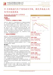 电力设备与新能源行业周观察：11月新能源汽车产销均破百万辆，国内多地海上风电项目进展推进