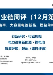 锂电产业链周评（12月第2周）：电池企业推出高倍率、大容量电池新品，锂盐单吨价格跌至11万元