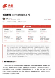 香蕉种植 头豹词条报告系列