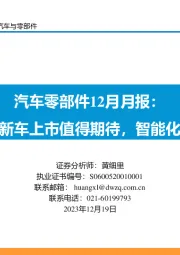 汽车零部件12月月报：多款新车上市值得期待，智能化加速