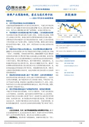 2024年汽车行业投资策略：骑乘产业周期曲线，需求与技术两手抓