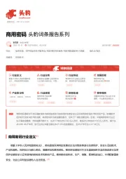 商用密码 头豹词条报告系列