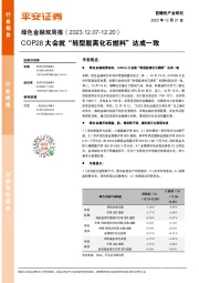 绿色金融双周报：COP28大会就“转型脱离化石燃料”达成一致