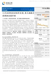 有色金属行业周报：几内亚供给扰动铝价走强，美元指数走弱提振金属价格