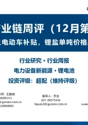 锂电产业链周评（12月第3周）：德国提前终止电动车补贴，锂盐单吨价格跌至近10万元