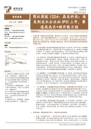 商社周报：鼎龙科技：染发剂龙头企业拟IPO上市，赛道高成长+提价能力强