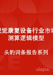 中国视觉康复设备行业市场规模测算逻辑模型 头豹词条报告系列