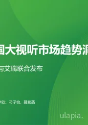 2023年中国大视听市场趋势洞察报告