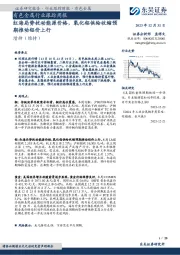 有色金属行业跟踪周报：红海局势扰动能源价格，氧化铝供给收缩预期推动铝价上行