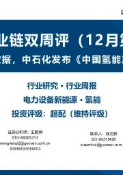 氢能产业链双周评（12月第3期）：2023年收官数据，中石化发布《中国氢能产业展望报告》