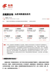 含氟聚合物 头豹词条报告系列