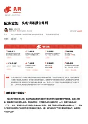 冠脉支架 头豹词条报告系列