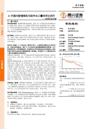 光伏行业月报：11月国内新增装机与组件出口量均环比回升