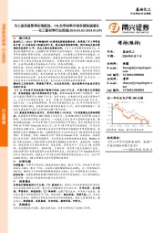 化工新材料行业周报：马士基再度暂停红海航运，VR光学材料市场有望快速增长