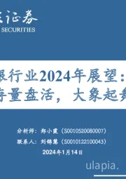 银行业2024年展望：存量盘活，大象起舞