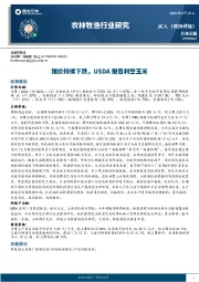 农林牧渔行业研究：猪价持续下跌，USDA报告利空玉米