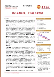 有色行业周报：锂矿短期反弹，中长期仍需磨底