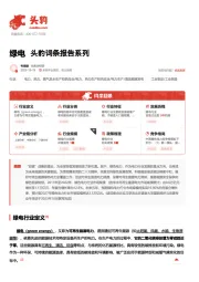 绿电 头豹词条报告系列
