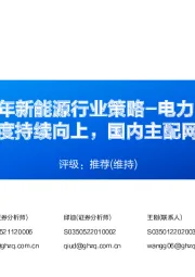 2024年新能源行业策略-电力设备:出海景气度持续向上,国内主配网各有看点