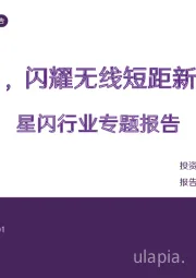 星闪行业专题报告:星闪,闪耀无线短距新通信