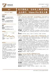 电子周观点：台积电上调AI营收占比指引，Vision Pro预定火爆