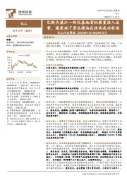 化工行业周报：巴斯夫湛江一体化基地首批装置投入运营，煤炭地下原位提油在陕西成功实现