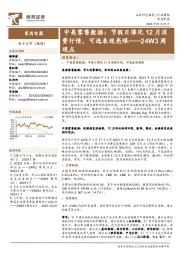 家用电器24W3周观点:中美零售数据:节假日催化12月消费行情,可选表现亮眼