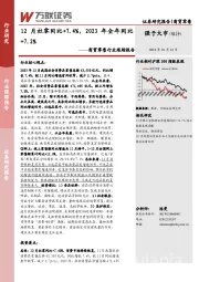商贸零售行业跟踪报告：12月社零同比+7.4%，2023年全年同比+7.2%
