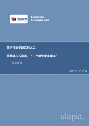 美护行业专题系列之二：羟基磷灰石赛道，下一个再生领域风口？