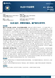 OLED行业研究：OLED显示：供需双向驱动，国产替代大有可为