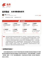 远洋渔业 头豹词条报告系列