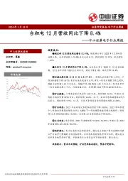 电子行业周报：台积电12月营收同比下降8.4%